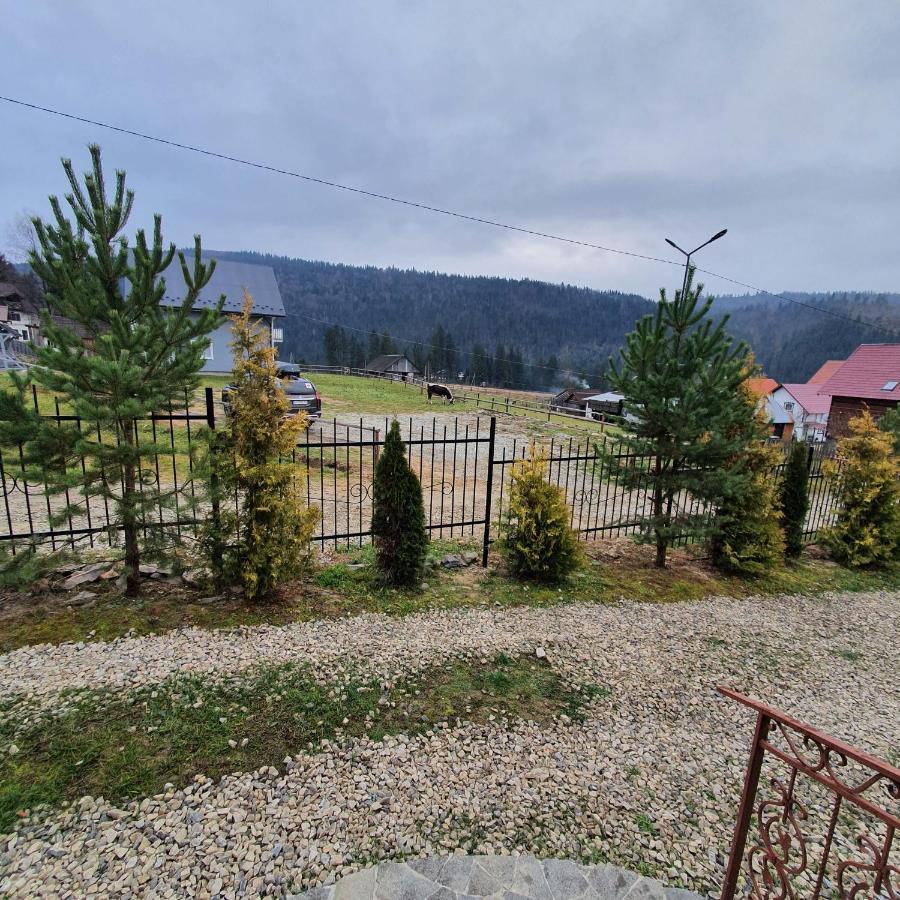 Chalet 888 Cottages Palyanytsya Extérieur photo