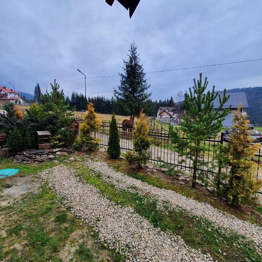 Chalet 888 Cottages Palyanytsya Extérieur photo