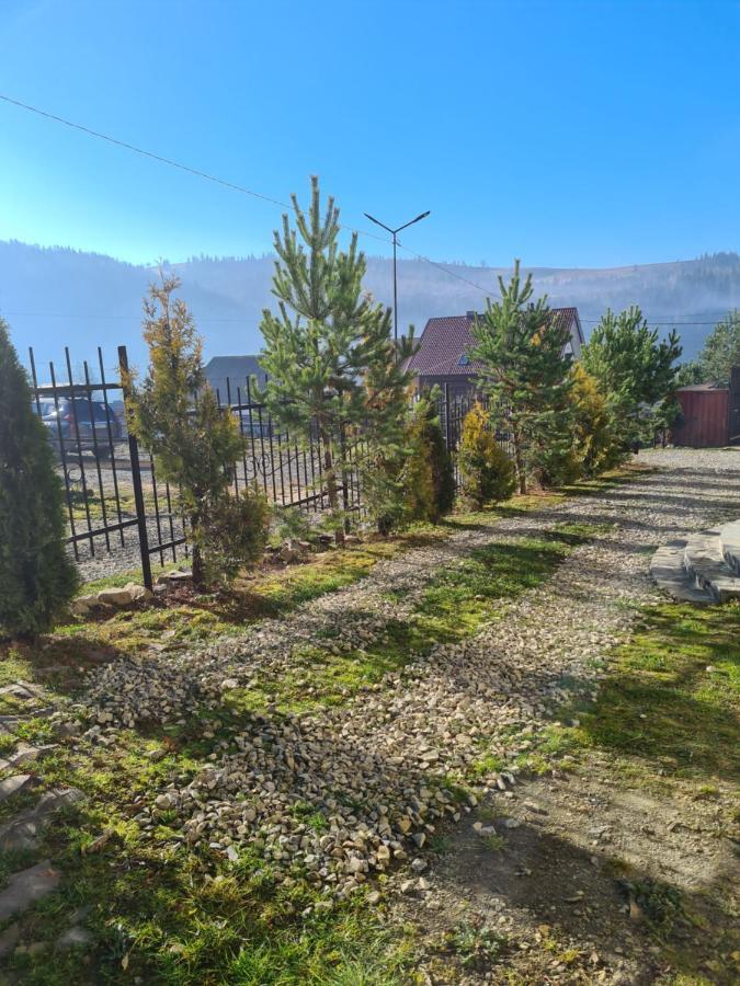 Chalet 888 Cottages Palyanytsya Extérieur photo